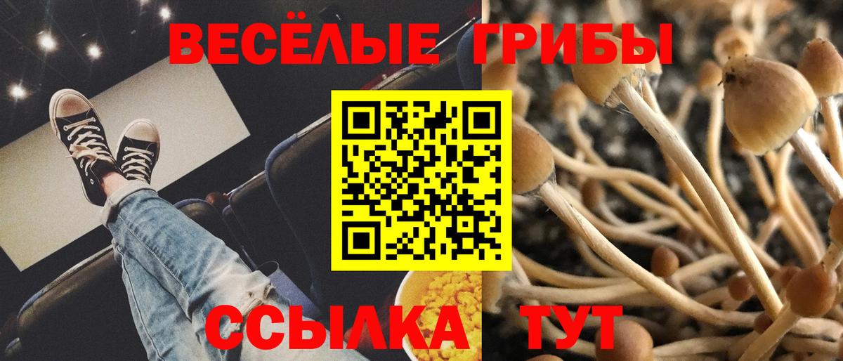 Псилоцибиновые грибы прущие грибы  продажа наркотиков  Советская Гавань  Вход с VPN 